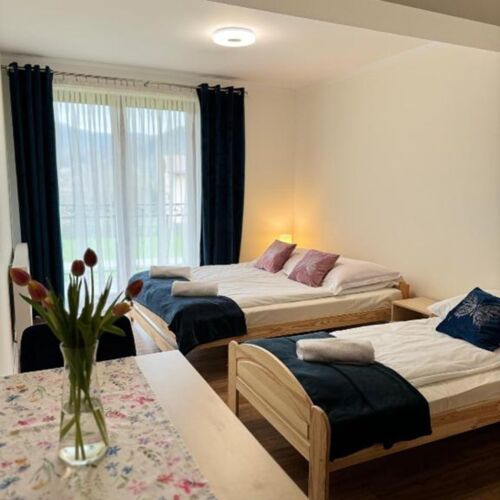 Camera tripla cu balcon cu vedere spre munte