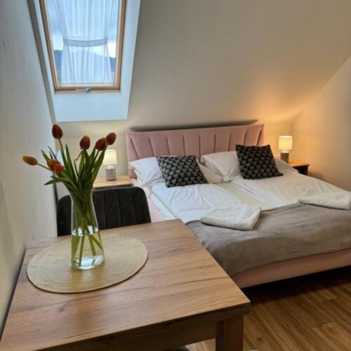 Camera dubla cu vedere spre munte