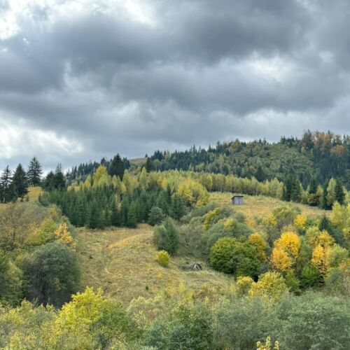 Rezydencja pokój 2-osobowy Exclusive z balkonem z 1 pomieszczeniem sypialnianym (możliwa dostawka)