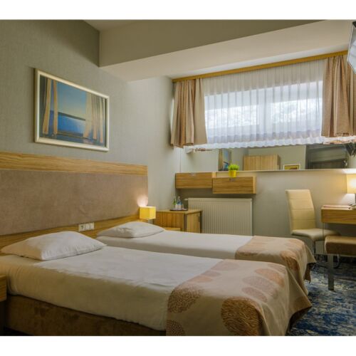 Pokój 1-osobowy Economy