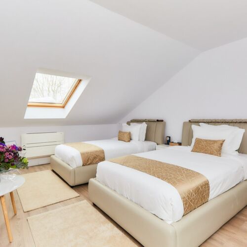 Camera twin executive Loft Twin (ELT)