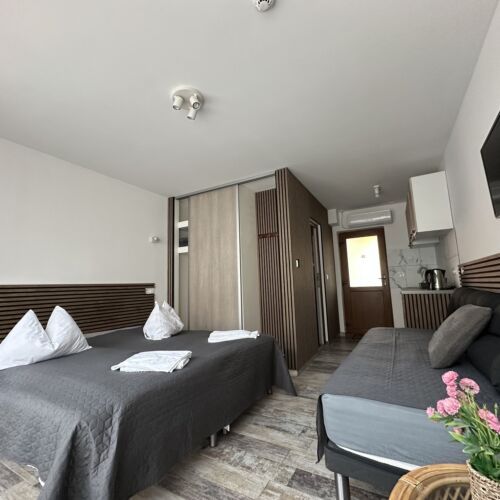 Camera tripla business la etaj