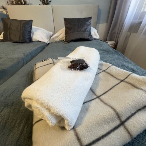 Apartman pro 3 os. s 1 ložnicí s výhledem do zahrady přízemní