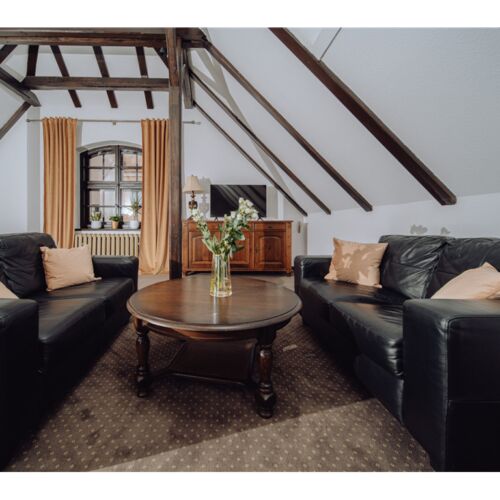 Apartament 2-osobowy Deluxe Studio z 1 pomieszczeniem sypialnianym