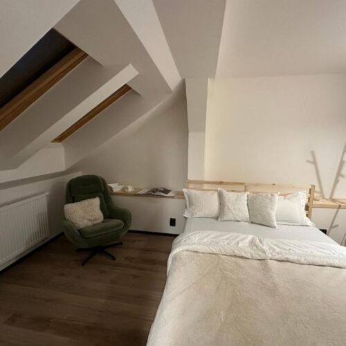 Forest View Mansard Double Room