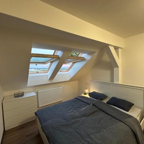 Forest View Mansard 1-Room Apartment for 2 Persons (extra beds available)