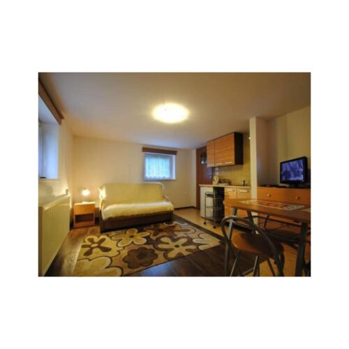 Apartament 2-osobowy na parterze Standard z 1 pomieszczeniem sypialnianym