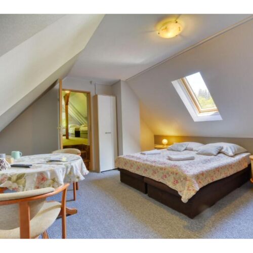 Pokój 6-osobowy Studio z widokiem na ogród