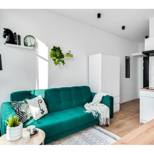 Apartament 2-osobowy z 1 pomieszczeniem sypialnianym