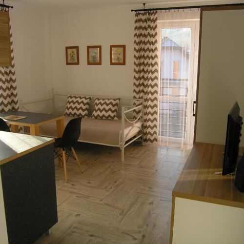 Apartament 1-osobowy Deluxe z 1 pomieszczeniem sypialnianym