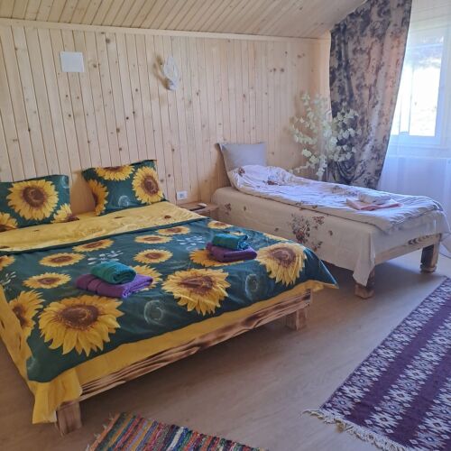 Pokój 3-osobowy z widokiem na góry z panoramą