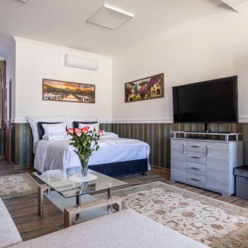 Studio Superior Apartman s manželskou postelí s 1 ložnicí (s možností přistýlky)