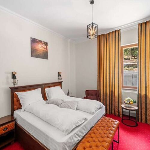 Camera dubla standard