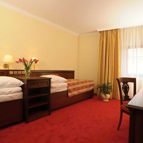 Pokoj se sprchou  pro 2 os. (s možností přistýlky)