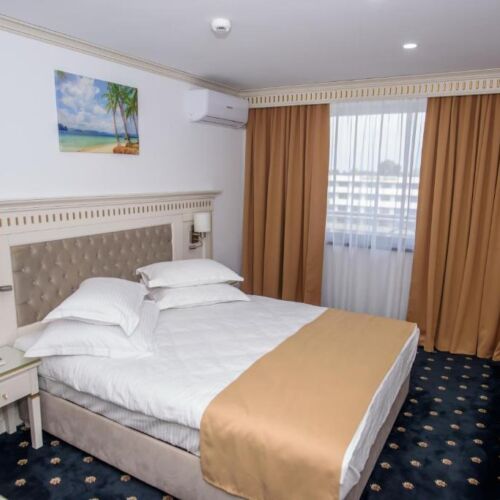 Camera Dubla Standard la Parter (fara balcon) *