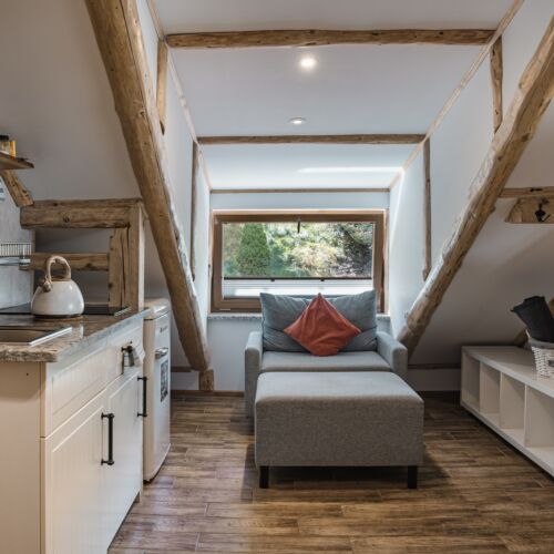 1-Room Apartment for 3 Persons