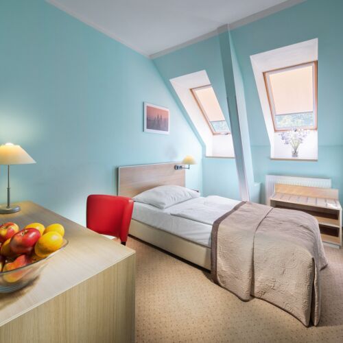 Pokój 1-osobowy Standard