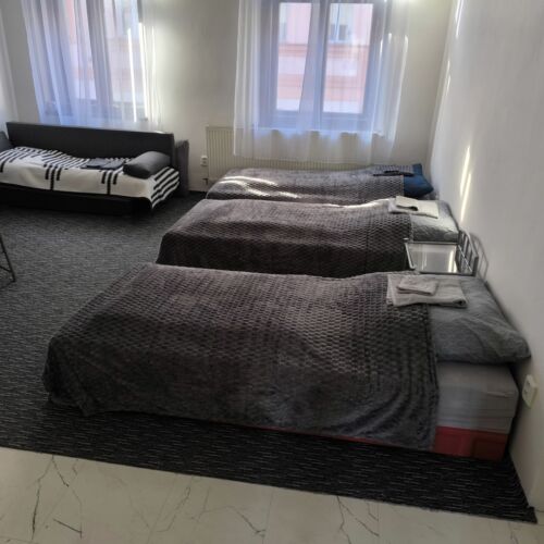 1-Room Apartment for 4 Persons ensuite with Shared Kitchen