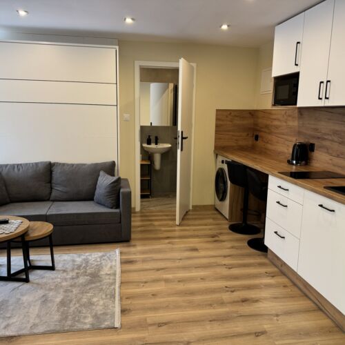 1-Room Apartment for 2 Persons