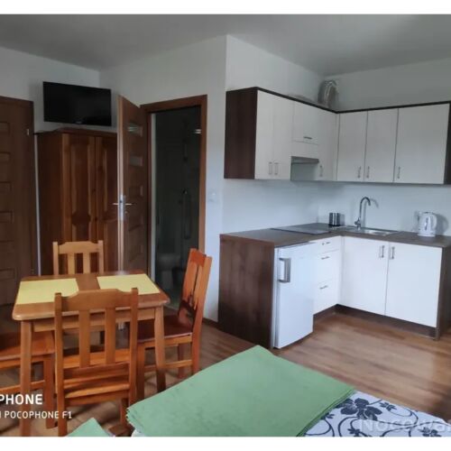 Apartament 4-osobowy Studio z 1 pomieszczeniem sypialnianym (możliwa dostawka)