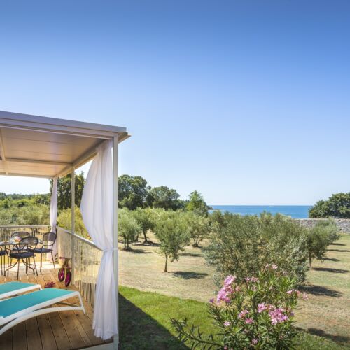 Casă de vacanță privilege casă mobilă pentru 5 pers. (se inchirieaza doar integral)