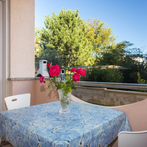 Apartament classic la parter cu 1 camera pentru 2 pers. (se poate solicita pat suplimentar)