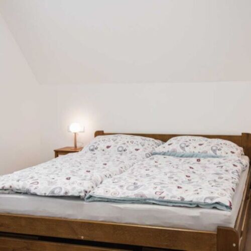 2-Room Apartment for 4 Persons with Shower and Kitchenette