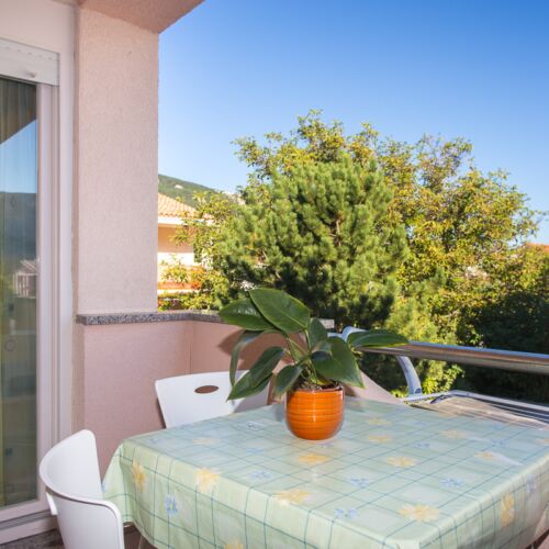Apartament classic tourist cu 1 camera pentru 2 pers. (se poate solicita pat suplimentar)