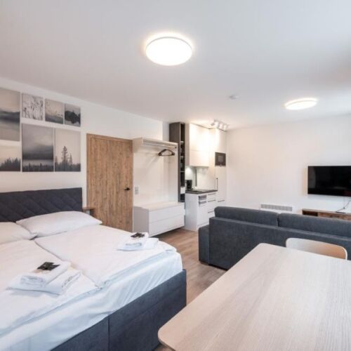 1-Room Apartment for 2 Persons (extra beds available)
