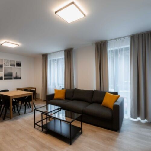 1-Room Apartment for 2 Persons (extra beds available)