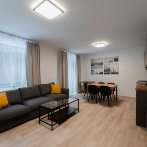1-Room Apartment for 2 Persons (extra beds available)