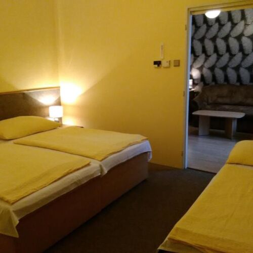 Apartman se sprchou  s manželskou postelí s 1 ložnicí (s možností přistýlky)