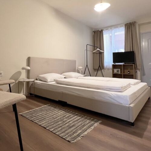 Standard Queen Pokoj s manželskou postelí