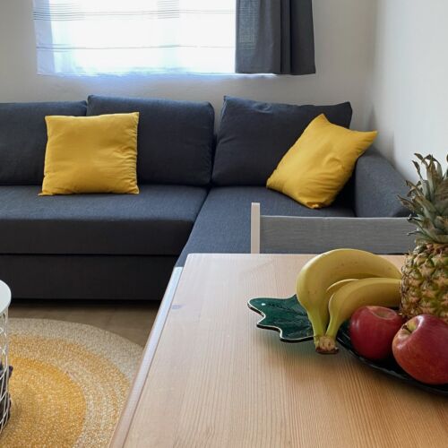 Apartament 4-osobowy z klimatyzacją z widokiem na jezioro