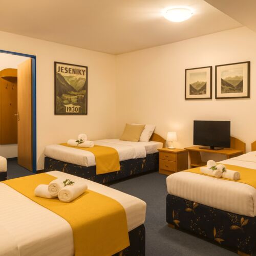 Superior Family Quadruple Room (extra bed available)
