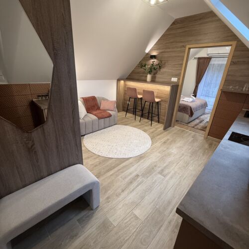 Apartament deluxe grand cu 1 camera pentru 2 pers.