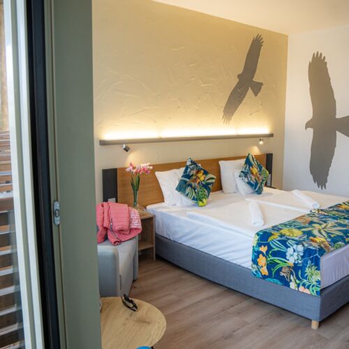 Superior Izba s balkónom pre 2 os. (s možnosťou prístelky)