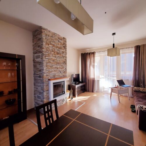 Apartament cu terasă cu vedere spre munte cu 1 camera pentru 2 pers. (se poate solicita pat suplimentar)