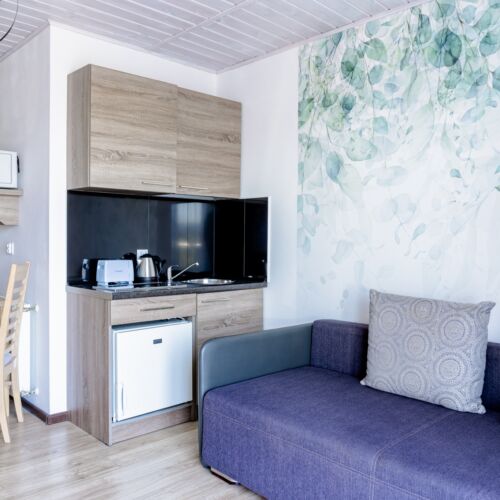 Apartament 3-osobowy z balkonem z aneksem kuchennym z 1 pomieszczeniem sypialnianym