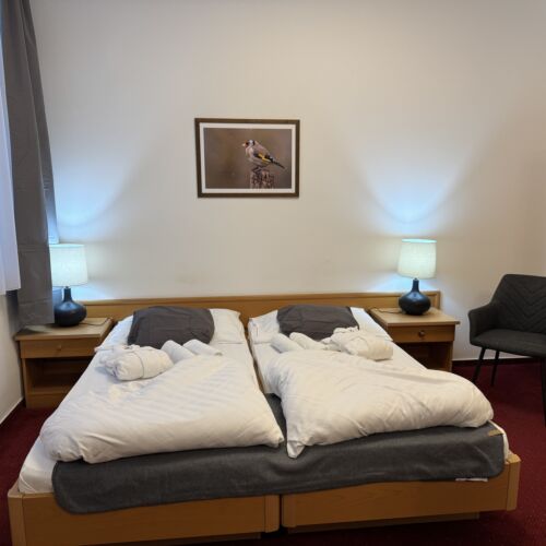 Camera twin superior (se poate solicita pat suplimentar)