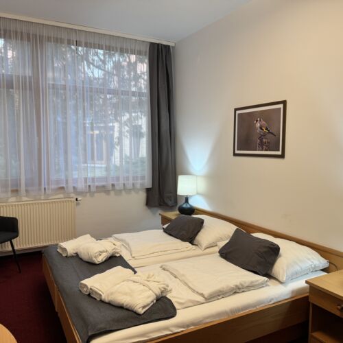 Camera tripla standard