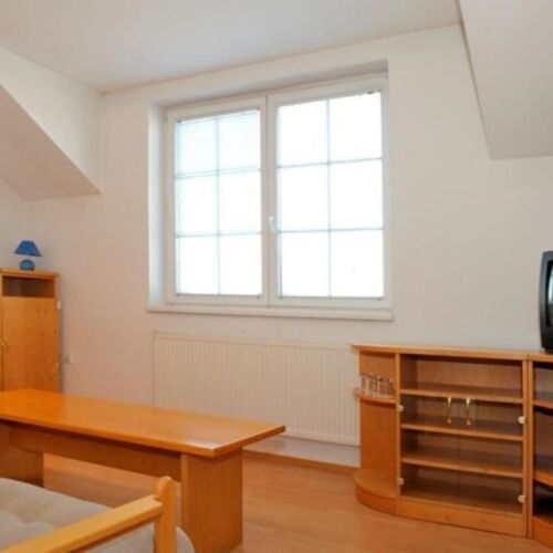 Apartman se sprchou  s manželskou postelí s 1 ložnicí (s možností přistýlky)