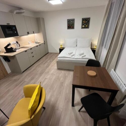 1-Room Apartment for 2 Persons