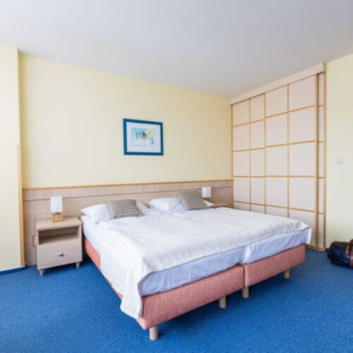 Superior 2-Room Apartment for 5 Persons (extra bed available)