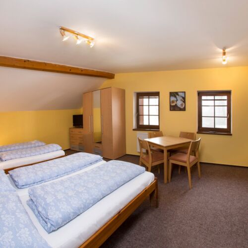 1-Room Apartment for 4 Persons with Shower and Kitchenette
