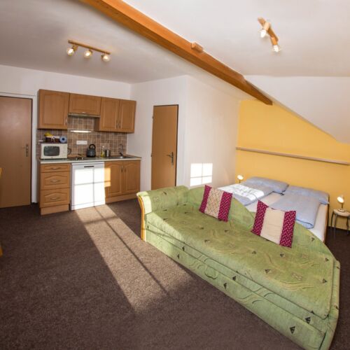 1-Room Apartment for 2 Persons with Shower and Kitchenette (extra bed available)