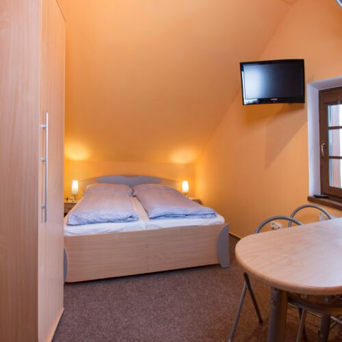 1-Room Apartment for 2 Persons with Shower and Kitchenette