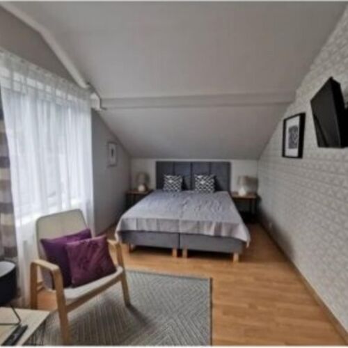 Apartament 2-osobowy z 1 pomieszczeniem sypialnianym (możliwa dostawka)