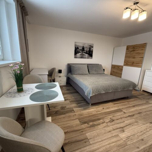 Comfort Ground Floor Apartment for 3 Persons