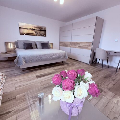 Classic 1-Room Apartment for 4 Persons with Own Kitchen